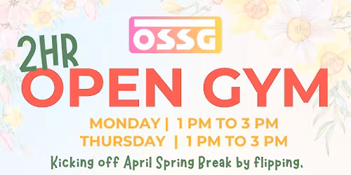 2HR OPEN GYM - APRIL SCHOOL BREAK