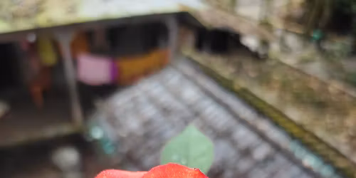 happy 11th marriage anniversary