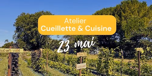 Atelier Cueillette & Cuisine