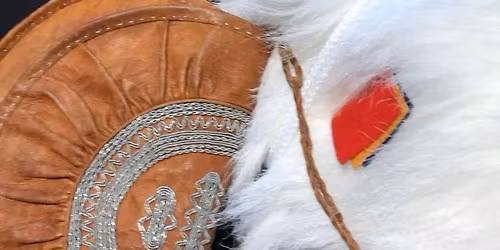 Pop-up sámi vintiž/samisk bruktmarked