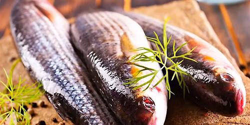 Art of Fishery Cooking Demo & Tasting