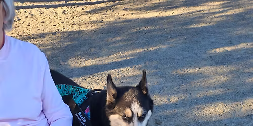 November Meet Up (time change) 4pm