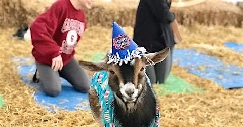 Goat Yoga Nashville- Almost New Year's Eve Class