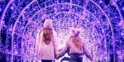 RHS Glow Illuminations