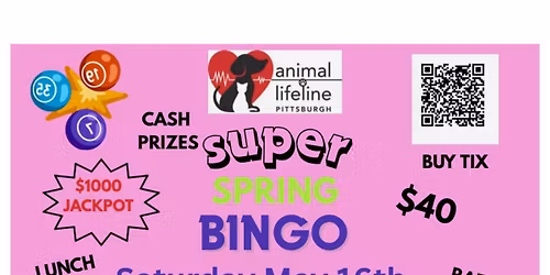 Spring Bingo and Luncheon