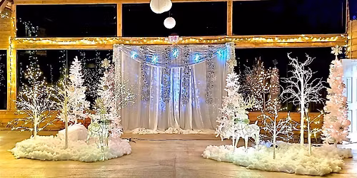 The Winter Ball sponsored by Liberty Oaks Academy