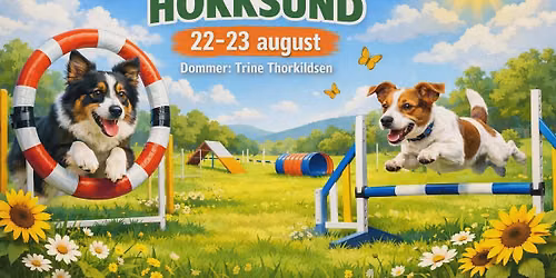 Sensommerstevne 2026 Hokksund \ud83d\ude0e