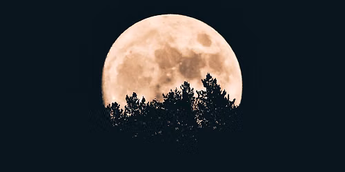 Full Moon Women's Circles 