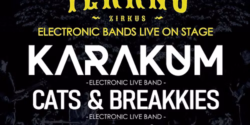 TEKKNO ZIRKUS - Electronic Live Bands on Stage