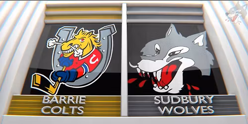 Barrie Colts vs. Niagara IceDogs