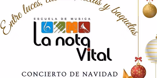 Concierto Navide\u00f1o "Entre luces, cuerdas, teclas y baquetas"