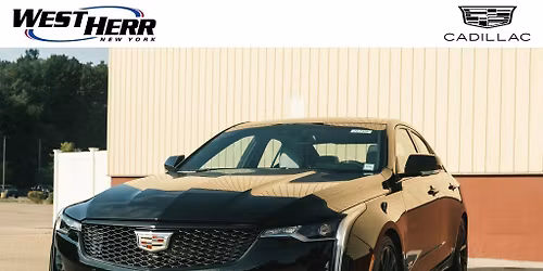 Let's Get Basted: 90s vs. 2000s Night