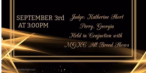 UPA 2026 Eastern Specialty: A Black Tie Affair