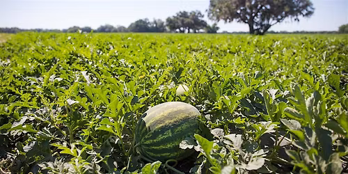 Small Farms Financing Workshop
