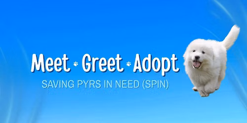 September Adoption Event