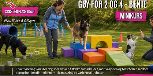 G\u00f8y for 2 og 4-beinte