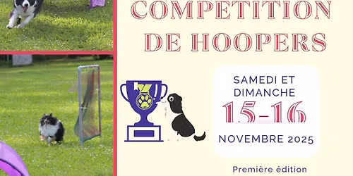 comp\u00e9tition de hoopers les 15 et 16 novembre