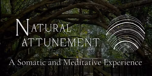 Natural Attunement Session | A Somatic and Meditative Experience