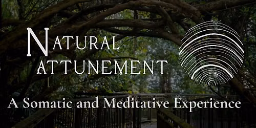 Natural Attunement Session | Tuesdays, Thursdays & Saturdays