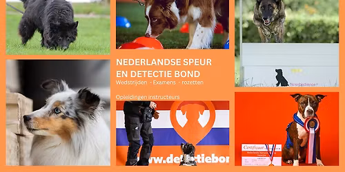 Nederlands Kampioenschap Detectie 2025