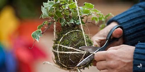 DIY Kokedama