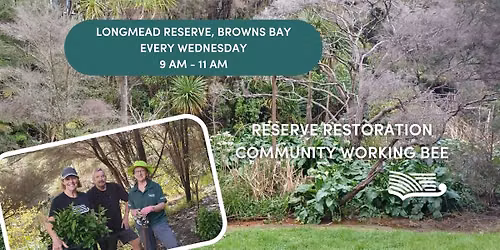 Longmead Reserve, Browns Bay - Volunteer Restoration Morning
