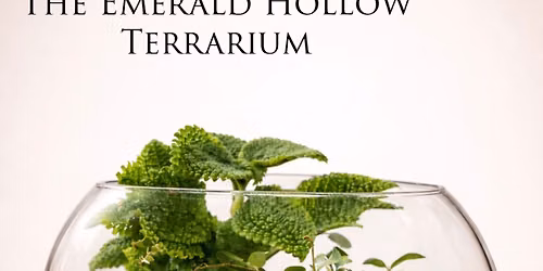 The Emerald Hollow Globe Terrarium Workshop