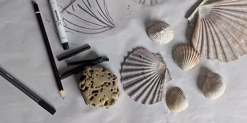 Art CPD for Schools:  Essentials: Teaching Drawing in the Primary Classroom