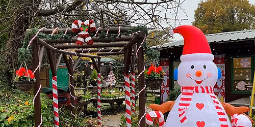 CANDY CANE WONDERLAND 