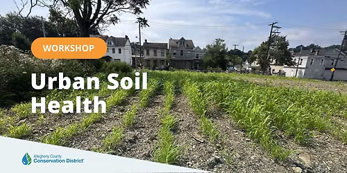 Urban Soil Health Workshop | Soil Sisters