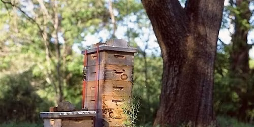 D&D 5E Open Table - The Bookends