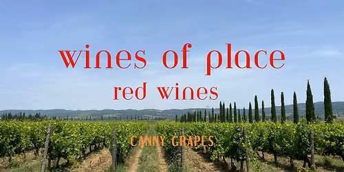 WINES OF PLACE - The RED WINE Edition