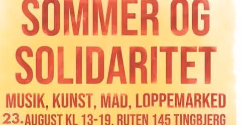 SommerSolidaritet med Pal\u00e6stina i Tingbjerg 