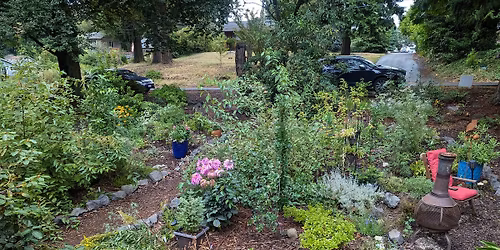 Urban Landscaping with Native Plants: In-Person Plant Talk