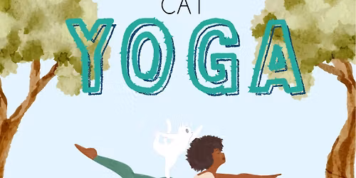 Cat Yoga