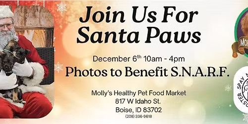Santa Paws