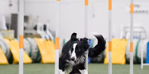 Lagun kes\u00e4kuun kilvat