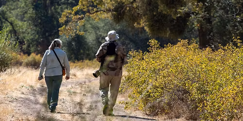 Afternoon Nature Photography Walk