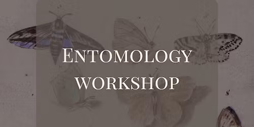 June Entomology Workshop: Madagascar Sunset Moth