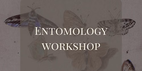 June Entomology Workshop: Madagascar Sunset Moth