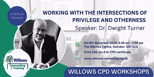 Working with the Intersections of Privilege and Otherness