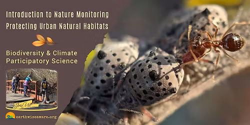 Introduction to Nature Monitoring in the City
