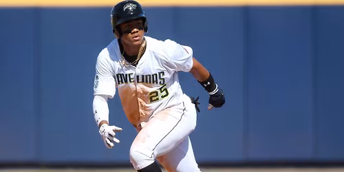 Parking Peoria Javelinas at Glendale Desert Dogs