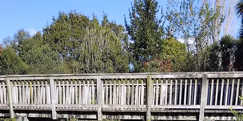 Working Bee, Above Stream Bridge