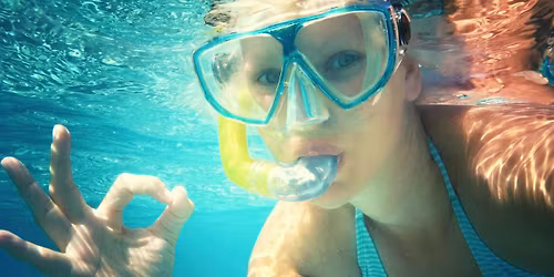 Nights of Lights Under the Sea