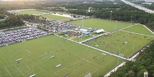 Parking The Garden Cup