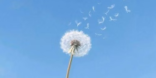 Forgiving Others, Forgiving Ourselves