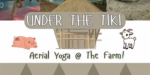 BACK TO OUR ROOTS - Aerial Yoga in Nature