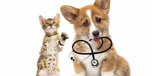 Pet Vaccination Clinic