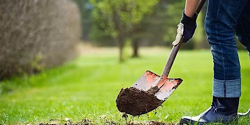 Help Us Dig at Winston Park!